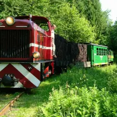 Czerwona lokomotywa i zielony wagonik na szlaku kolejki wąskotorowej, otoczone bujną zielenią.