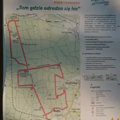 Mapa szlaku rowerowego w Nadleśnictwie Rudy Raciborskie. Trasa prowadzi przez tereny po pożarze lasu, gdzie odradza się młody las.