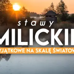 Wschód słońca nad Stawami Milickimi, idealne miejsce na odkrywanie tras rowerowych.