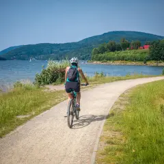 Kobieta na rowerze jedzie ścieżką przy jeziorze, w tle góry i las.
