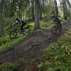 Dwóch rowerzystów pokonuje malowniczą ścieżkę w lesie. To idealne miejsce na odkrywanie tras rowerowych Małopolska.