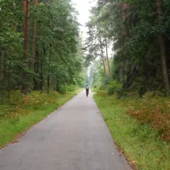 Puszcza Niepołomicka trasy rowerowe mapa – odkryj najlepsze szlaki