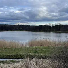 Spokojne jezioro otoczone lasem, idealne na spacer. Trasa w Jastrzębiu-Zdroju zachwyca o każdej porze roku.