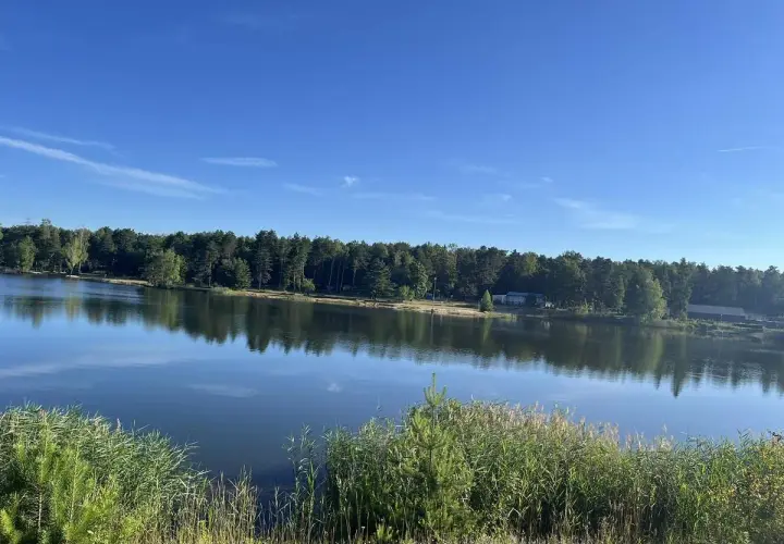 Spokojne jezioro odbija las i błękitne niebo. Trasa nad jeziorem Chechło Nakło zaprasza na spacer.