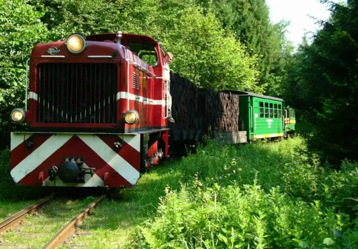Czerwona lokomotywa i zielony wagonik na szlaku kolejki wąskotorowej, otoczone bujną zielenią.
