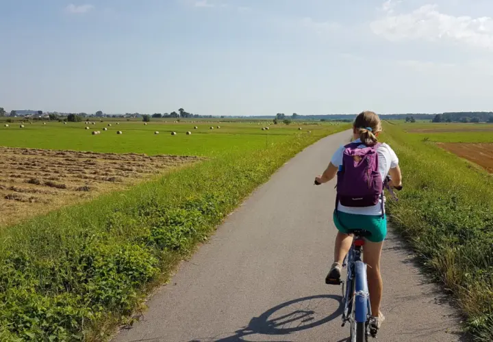 Dziewczynka na rowerze przemierza malowniczą wiślaną trasę rowerową Niepołomice, mijając pola z sianem i zielone łąki.