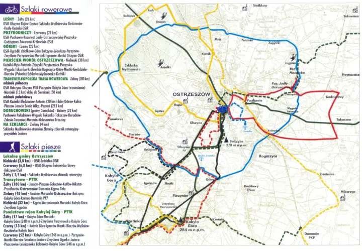 Mapa tras rowerowych Wielkopolski, z zaznaczonymi szlakami wokół Ostrowa Wielkopolskiego.