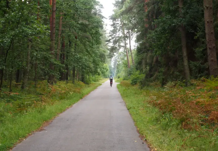 Puszcza Niepołomicka trasy rowerowe mapa – odkryj najlepsze szlaki