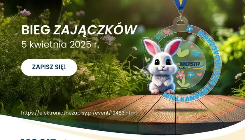 Jak szybko biega zając? Odkryj jego niesamowite prędkości i techniki