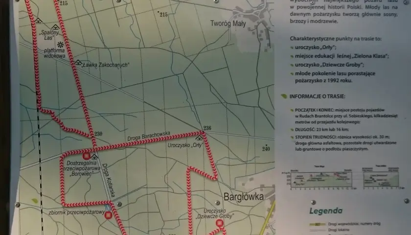 Mapa szlaku rowerowego w Nadleśnictwie Rudy Raciborskie. Trasa prowadzi przez tereny po pożarze lasu, gdzie odradza się młody las.