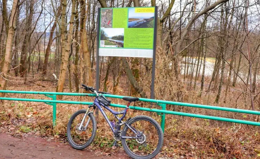 Trasy rowerowe Żywiec: Odkryj najlepsze szlaki [Przewodnik]