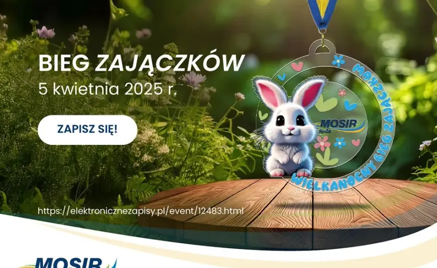 Jak szybko biega zając? Odkryj jego niesamowite prędkości i techniki