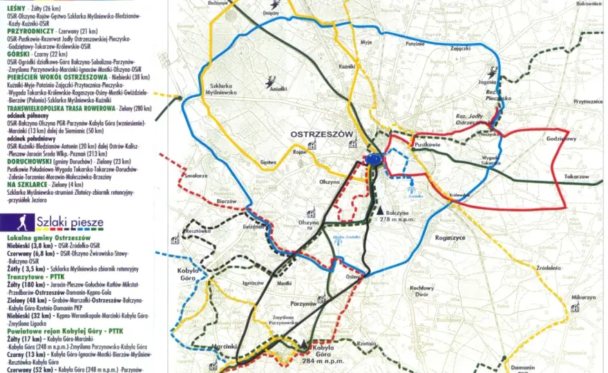 Trasy rowerowe Wielkopolska: Odkryj najpiękniejsze szlaki!