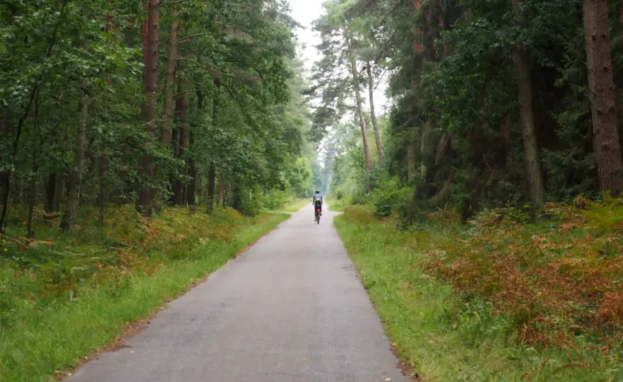 Puszcza Niepołomicka trasy rowerowe mapa – odkryj najlepsze szlaki