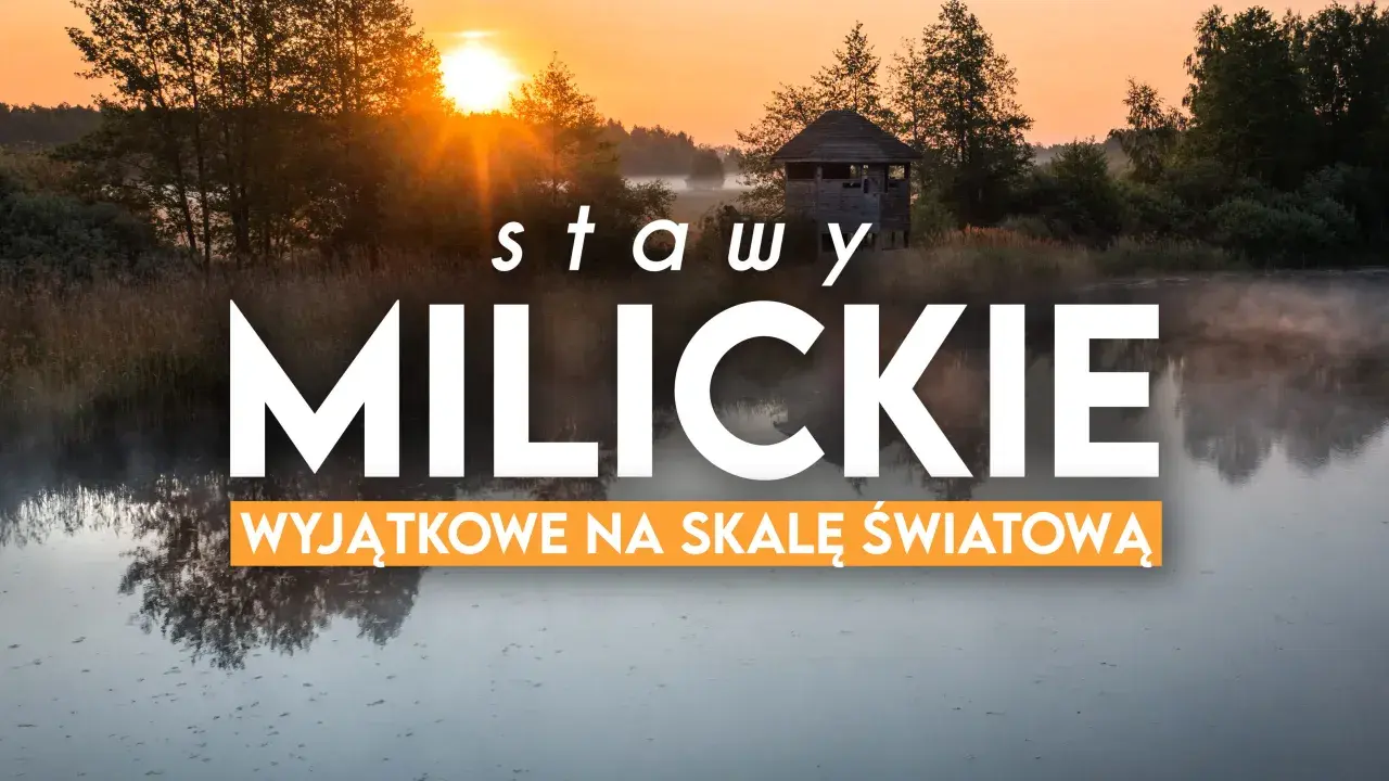 Wschód słońca nad Stawami Milickimi, idealne miejsce na odkrywanie tras rowerowych.