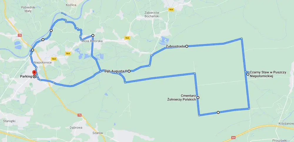 Zdjęcie Puszcza Niepołomicka trasy rowerowe mapa – odkryj najlepsze szlaki