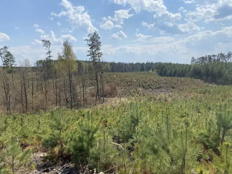 Zdjęcie Trasy rowerowe Mielec: Odkryj najlepsze szlaki i atrakcje dla rodzin